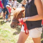 Ferme équestre du pavail_Balades en poneys 1 Happy Day 2016
